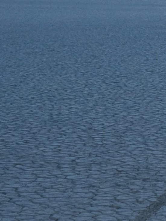 Red Dress - Picture 10 of 16